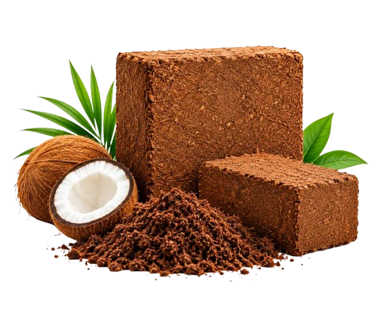 cms organix cocopeat product 634x543 removebg preview